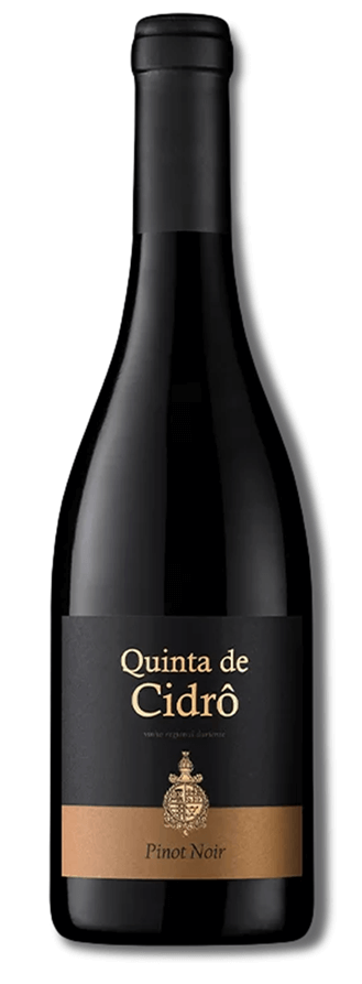 qtadocidropinotnoir