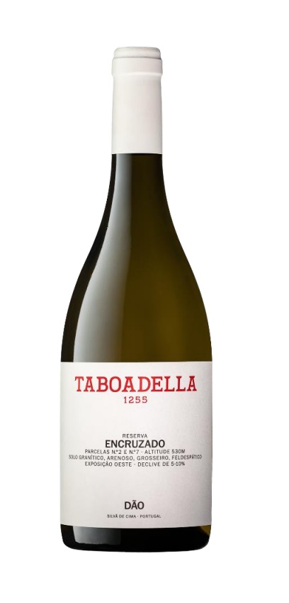 taboadella-encruzado1731936974